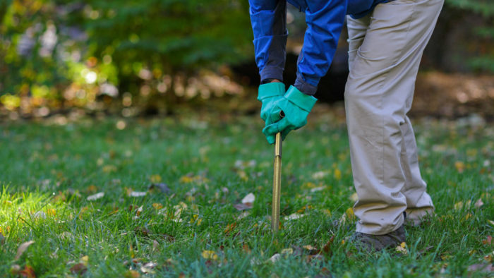 soil test