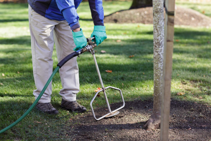 deep root fertilization