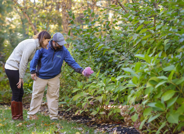 shrub inspection