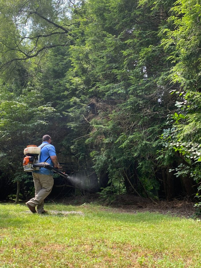 professional mosquito control