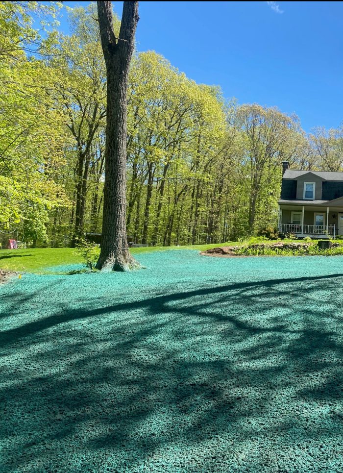 hydroseeding