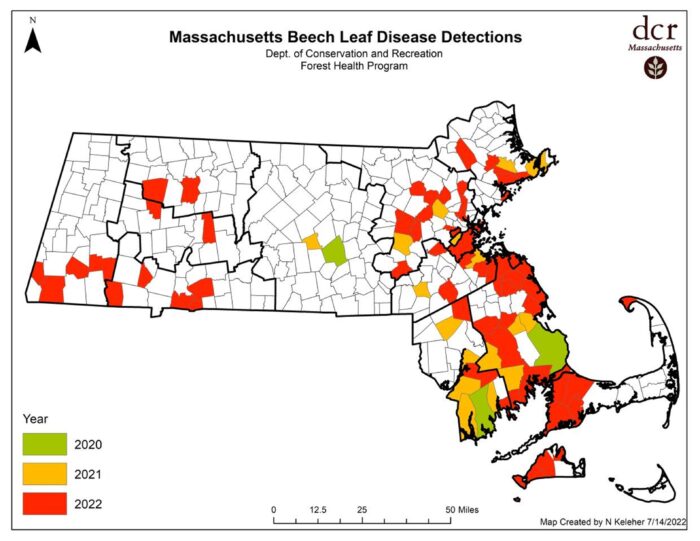 beech leaf disease map