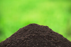 compost top dressing