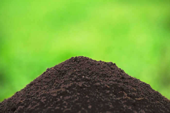 compost top dressing