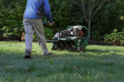 care for new grass seedlings