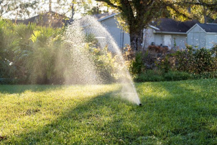 spring irrigation start up